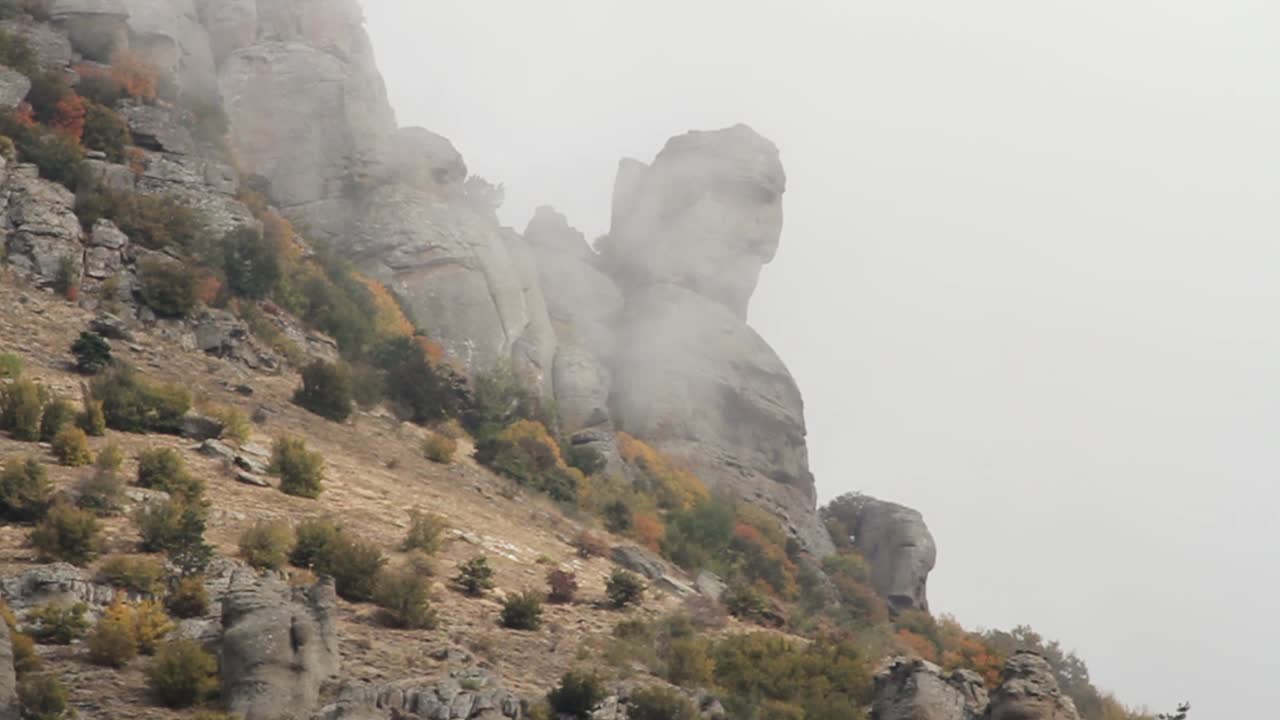 안개가 가득한 산꼭대기