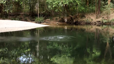 sequence showing ripple spreading across a pond