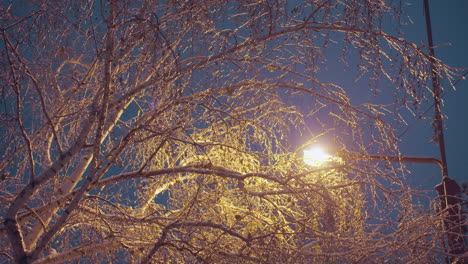 winter tree branches covered in ice and snow illuminated by golden streetlight glow, creating a magical effect against a deep blue evening sky, with urban light poles and power lines