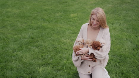 portrait of a beautiful pregnant woman with puppies in her hands