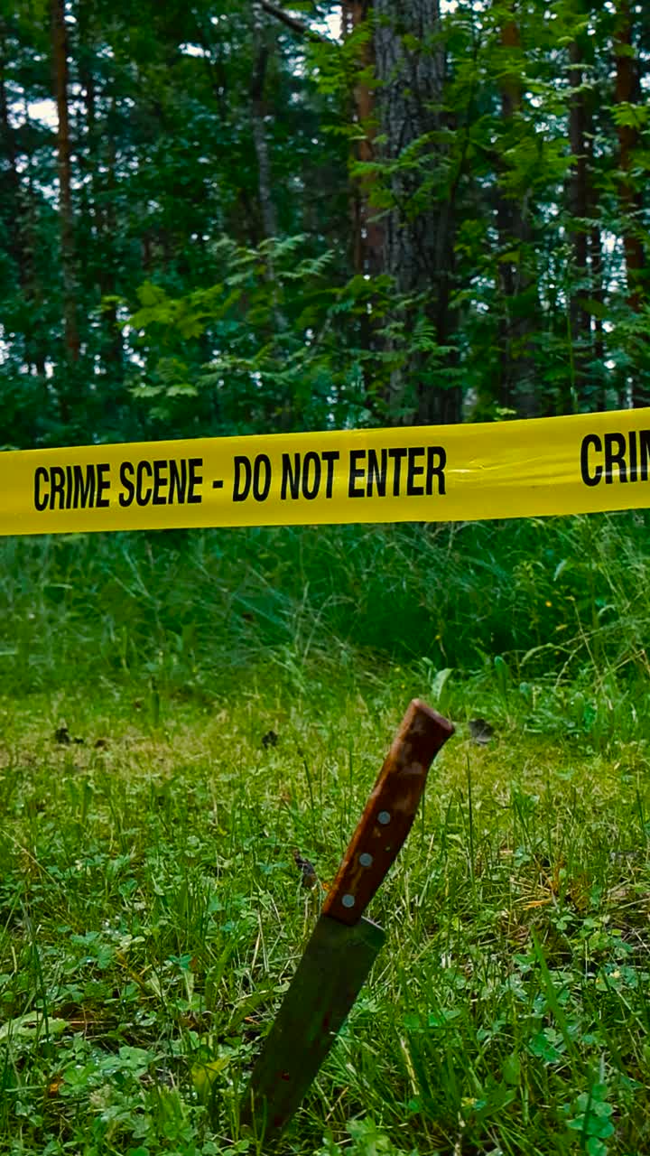 Vertically filmed video of a bloody knife stabbed in green grass ground in front of a yellow crime scene do not enter tape in a damp and wet forest during summer time day. Kitchen knife is reflective