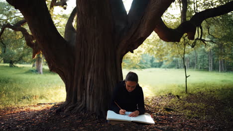 woman drawing under a large tree in nature
