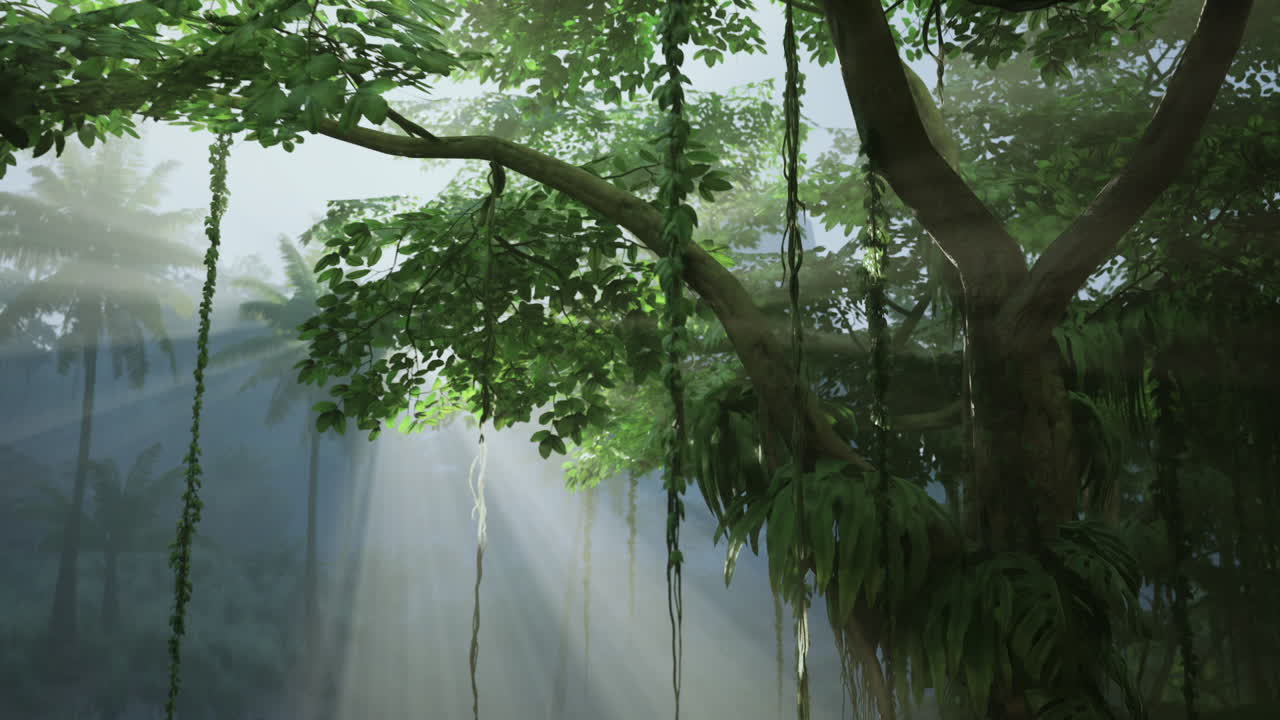 Sunbeams Shining Through Lush Jungle Canopy