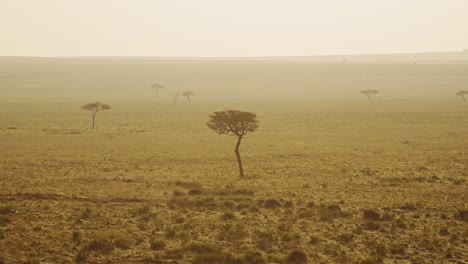 áfrica toma aérea del hermoso paisaje de la sabana de masai mara en kenia, la sabana en naranja, el amanecer dorado, la luz del sol en la niebla atmosférica, el vuelo en globo de aire caliente, vista desde arriba