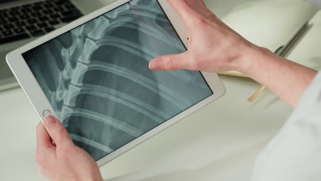 veterinarian reviewing animal x-ray on tablet