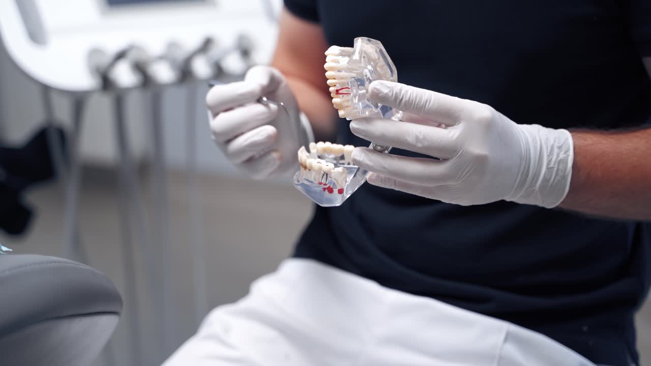 Dentist holding teeth model. Male dentist showing teeth model to patient at dental clinic office
