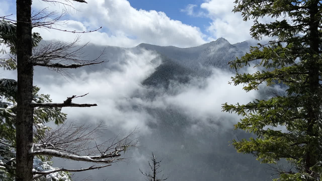 vistas a la montaña desde el bosque, estableciendo vistas desde la cima de la montaña