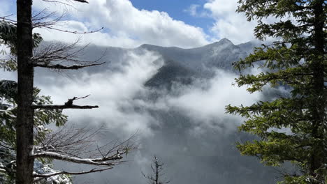 從森林的山景,從山頂建立射擊景觀