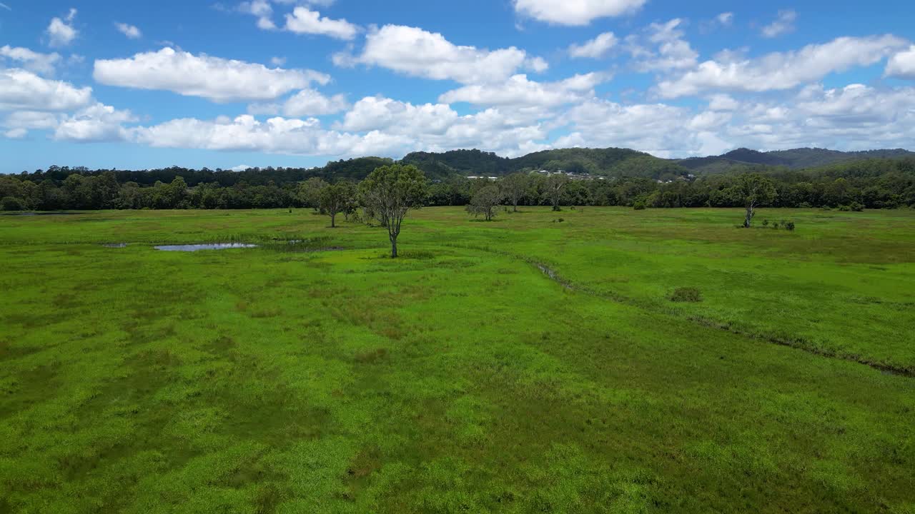 movimiento aéreo hacia adelante sobre mudgeeraba creek y espacio verde, gold coast, queensland, australia