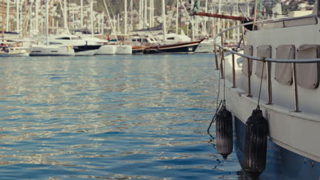 yachts in a marina