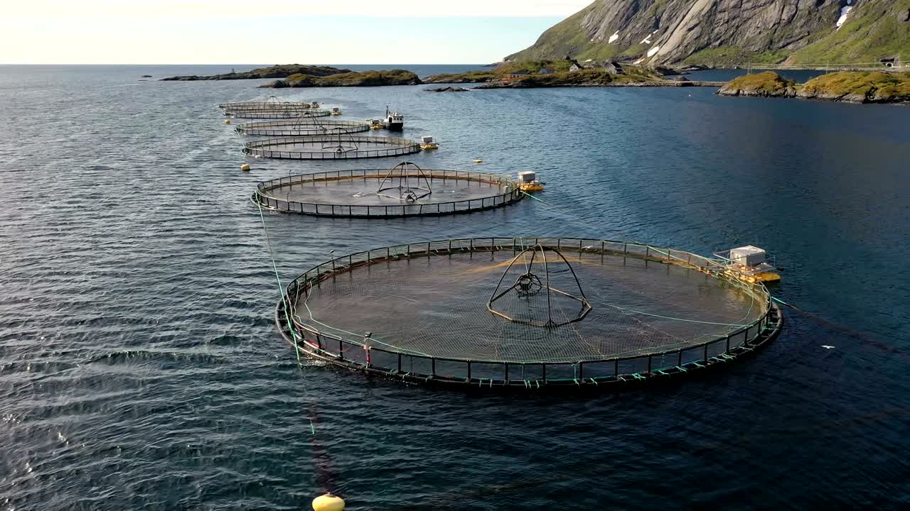 노르웨이에서 연어  ⁇ 시를 하는 공중 촬영