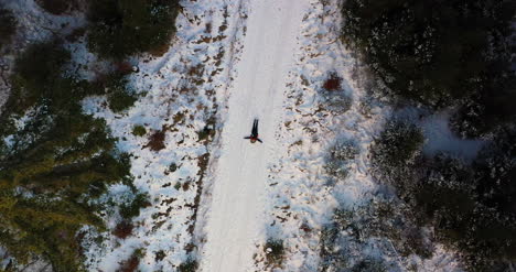 toma aérea de mujer jugando en la nieve 1