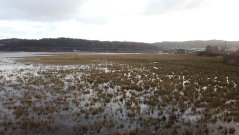 Wetlands-Landscape,-Swamp-Aerial-Panning-Shot,-Cloudy-Day