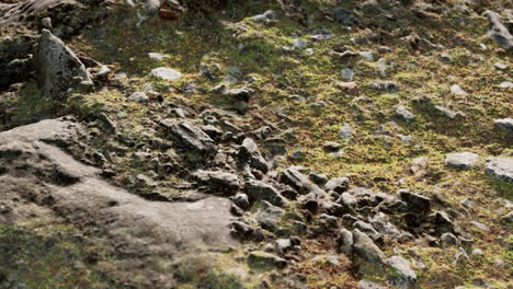 cerca de la formación de piedras rocosas