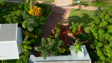 aerial drone of tropical home with pool and palm trees in backyard, top down pan to street