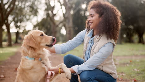 a woman spending time with her golden retriever in the park