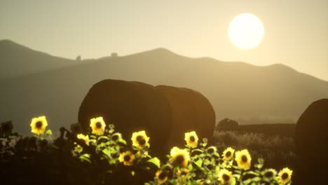 hay-bales-in-the-sunset