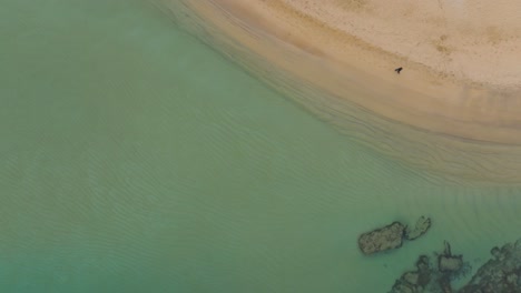 Una-Persona-Camina-Hacia-Una-Amplia-Playa-De-Arena-Blanca,-Un-Vasto-Paisaje-Acuático-Marino,-Un-Dron-Vuela-Muy-Por-Encima-De-La-Costa-Mediterránea-Oceánica