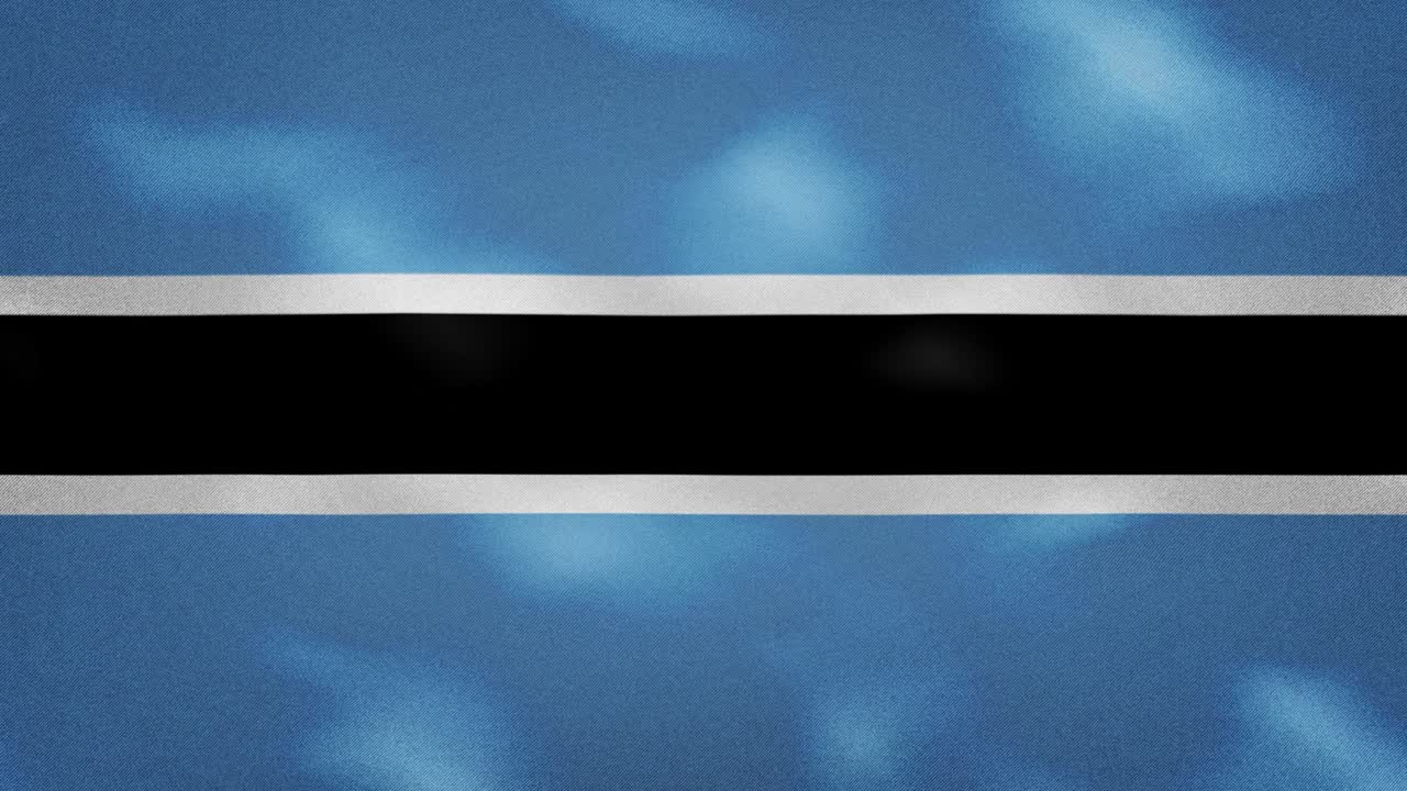 보츠와나 은 발 직물 흔들기, 배경 루프