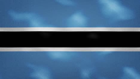 botswana dense flag fabric wavers, background loop