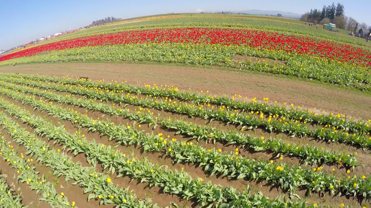 산 중턱의 꽃과 들판을 조감도 1
