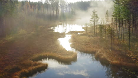 magical drone shot of misty morning in the wilderness