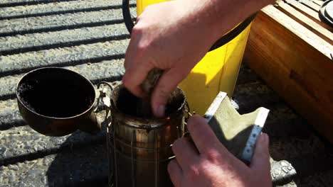 beekeeper preparing smoker for harvesting in apiary