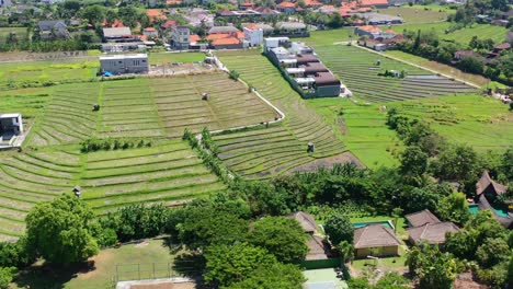 Pequeño-Camino-De-Atajo-A-Través-De-Los-Verdes-Campos-De-Arroz-En-Bali-Indonesia-En-Un-Día-Soleado,-Aéreo