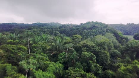 drone aerial view of tropical jungle in countryside of panama and floating house on idyllic hidden lake