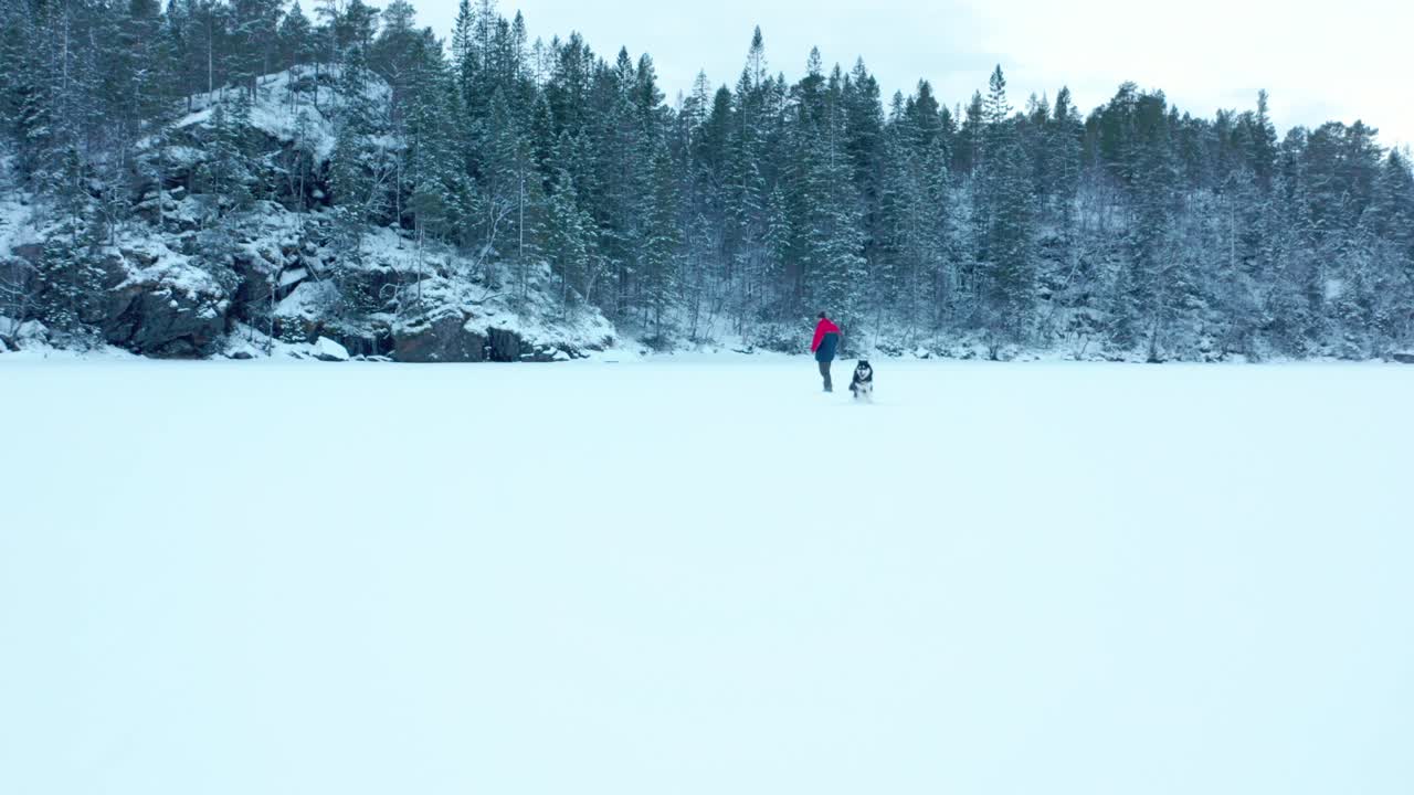 Volando attraverso un paesaggio invernale con un uomo e un cane attivo che corrono nel lago ghiacciato.