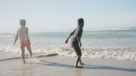 Rückansicht-Eines-Afroamerikanischen-Bruders-Und-Einer-Afroamerikanischen-Schwester,-Die-Am-Strand-Genießen