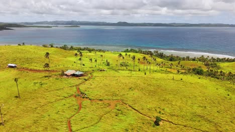 aerial view of corregidor island, siargao islands, philippines shows grassy terrain, palm trees, coastal huts, pacific ocean, and surrounding islets under bright daylight in tropical conditions
