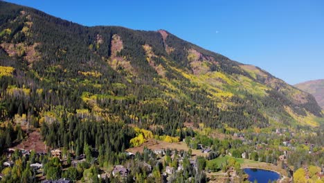 美麗的綠色和黃色秋天風景在高山森林山丘鄉村