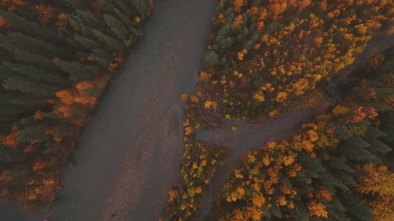 Aerial View of River Running Through Autumn Forest