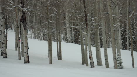 Dezember-Januar-Weihnachten-Winter-Skifahrer-Ski-Trail-Laufen-Aspen-Schneemassen-Wildnis-Baum-Wald-Neuschnee-Pulver-Malerischen-Schneefall-Colorado-Rocky-Mountains-Telluride-Crested-Butte-Vail-Langsame-Glatte-Pfanne-Links