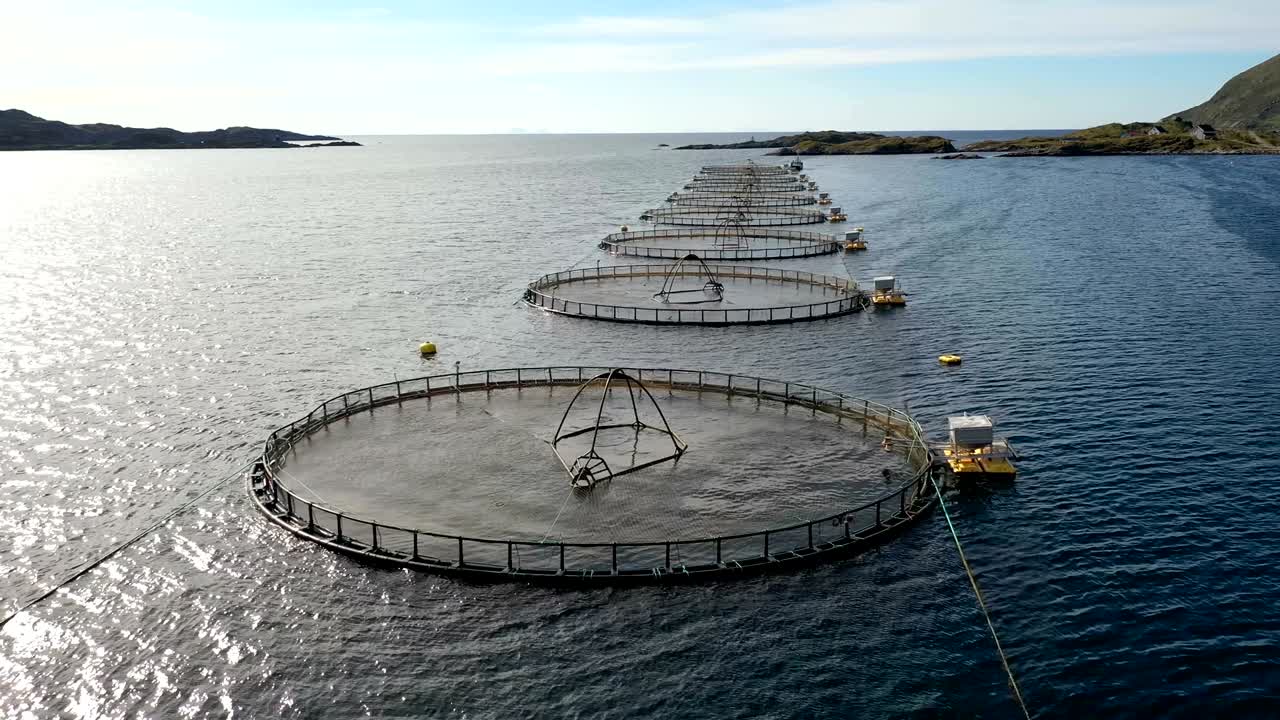 노르웨이에서 연어  ⁇ 시를 하는 공중 촬영