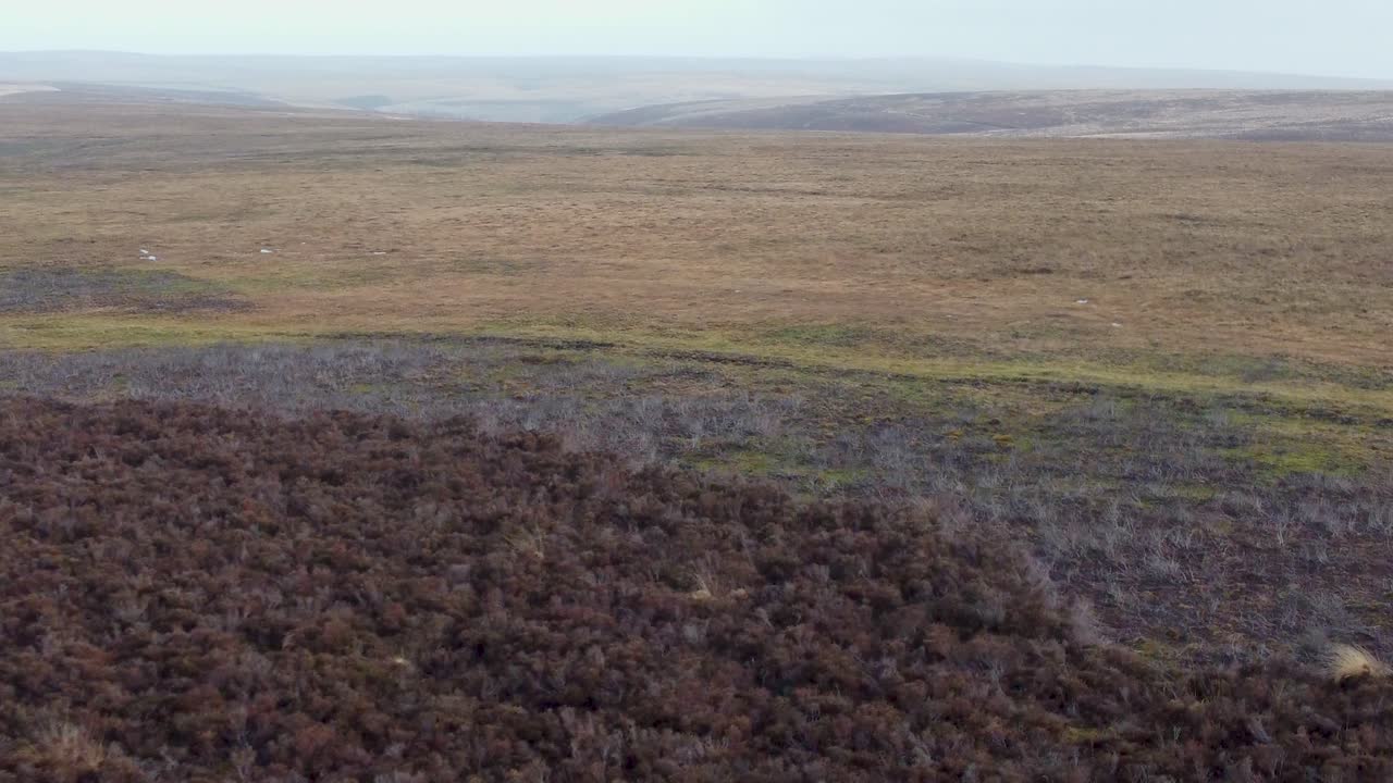 paisaje en expansión toma de drone de páramo y camino con huellas de neumáticos en exmoor, reino unido