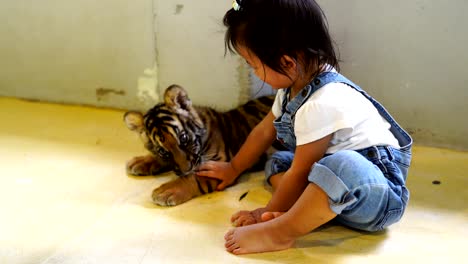 asian cute baby girl enjoying with baby tiger.