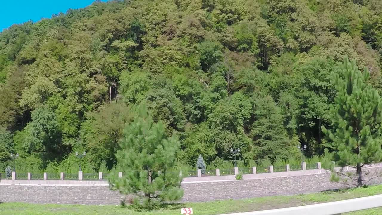 도로로 보이는 숲 풍경