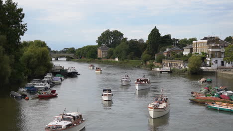 flotilla of boats drift on river thames in riverside green, richmond