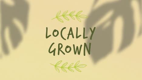 animation of locally grown text over shadows of leaves