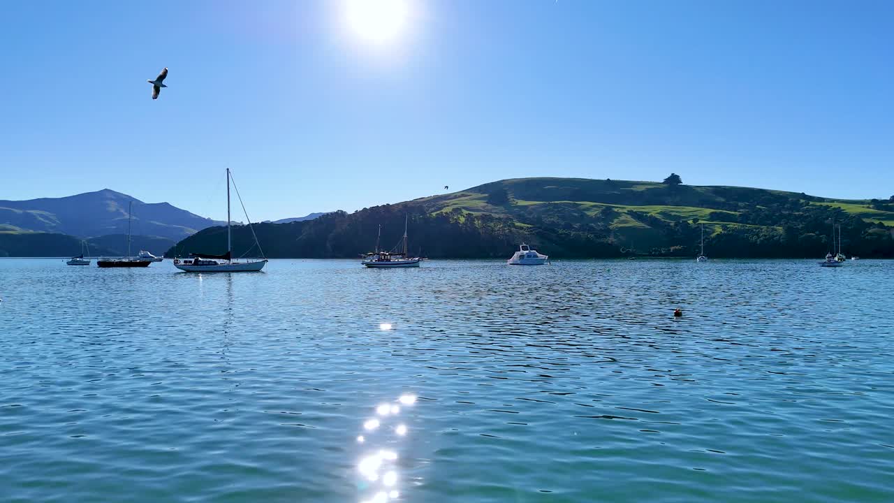 Calm waters and gentle sunlight illuminate Akaroa Harbour, with boats and birds enhancing the tranquil morning scene