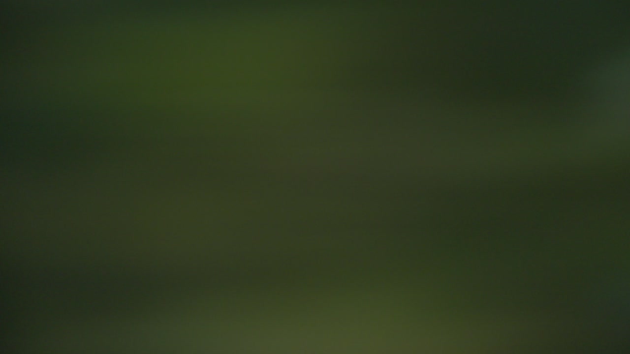 fondo de naturaleza borroso