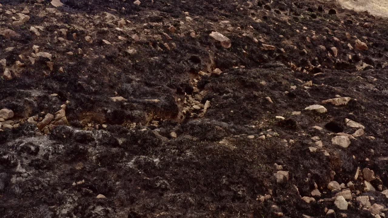 влияние климатических изменений на холмы после пожара, оставившего землю уничтоженной