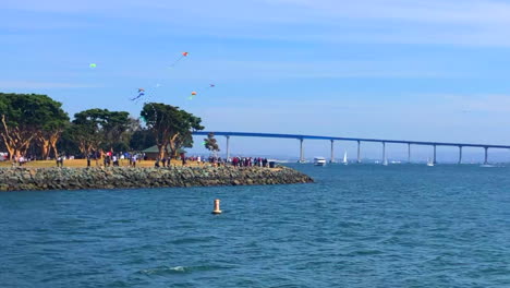 slow motion - weekend walk along san diego bayview with people flying kites.