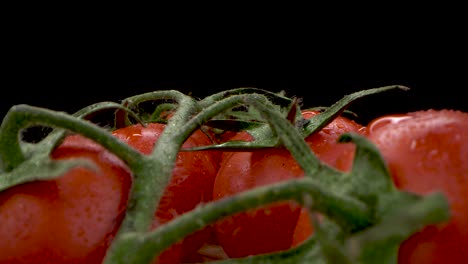 tomatoes on vine with water droplets on chopping board