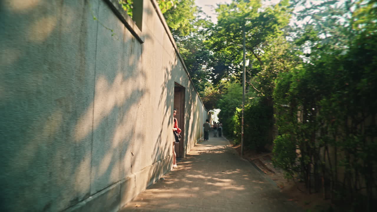 A path lined with trees and a tall wall
