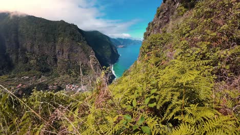 experience the breathtaking views of são vicente’s coastline from a cliffside vantage point on madeira island, portugal.
