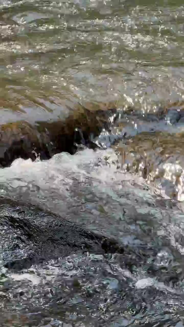 Acqua limpida che scorre sulle rocce in un ruscello di montagna