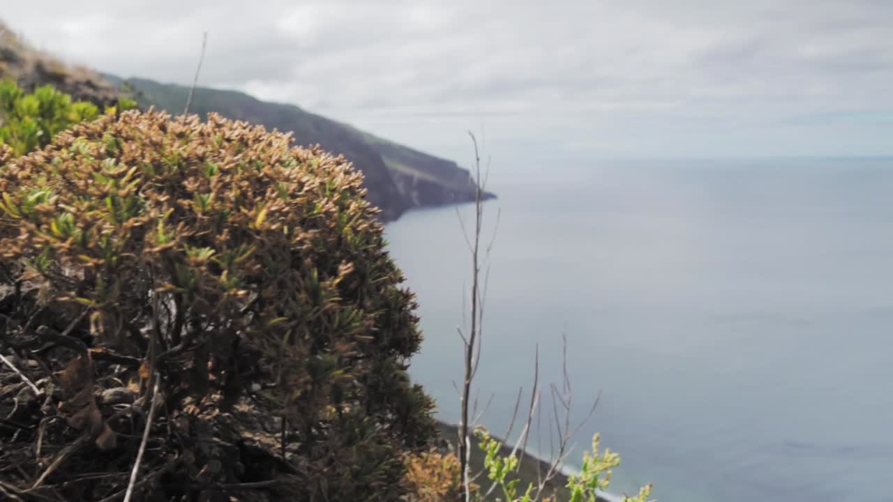 vista de la costa desde un acantilado volcánico